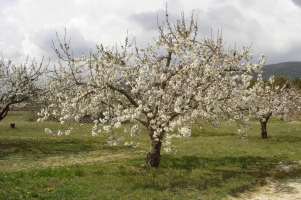 Maison D'Hotes Bastide St Victor A 2,5 Kilometres De Lourmarin Puyvert Δωμάτιο φωτογραφία