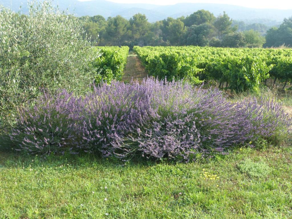 Maison D'Hotes Bastide St Victor A 2,5 Kilometres De Lourmarin Puyvert Εξωτερικό φωτογραφία